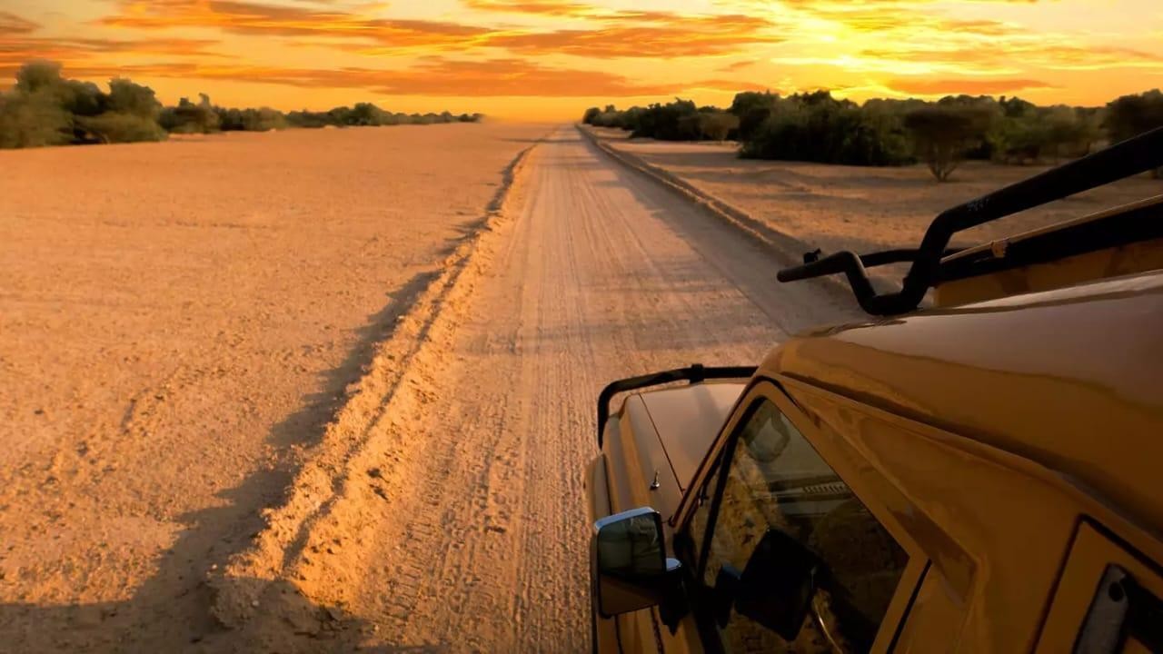 Sir Bani Yas One Day Tour