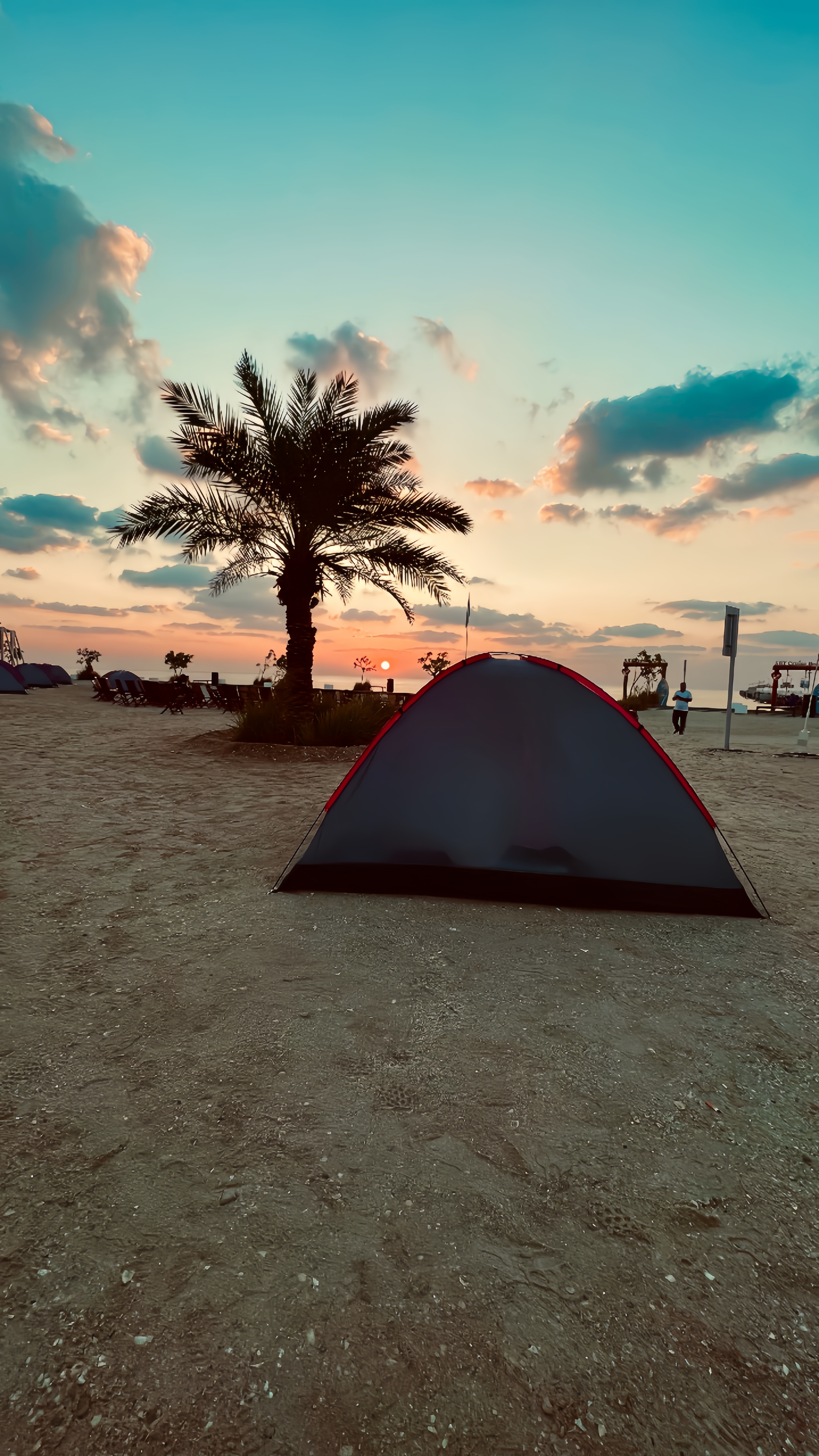 Sir Bani Yas One Day Tour