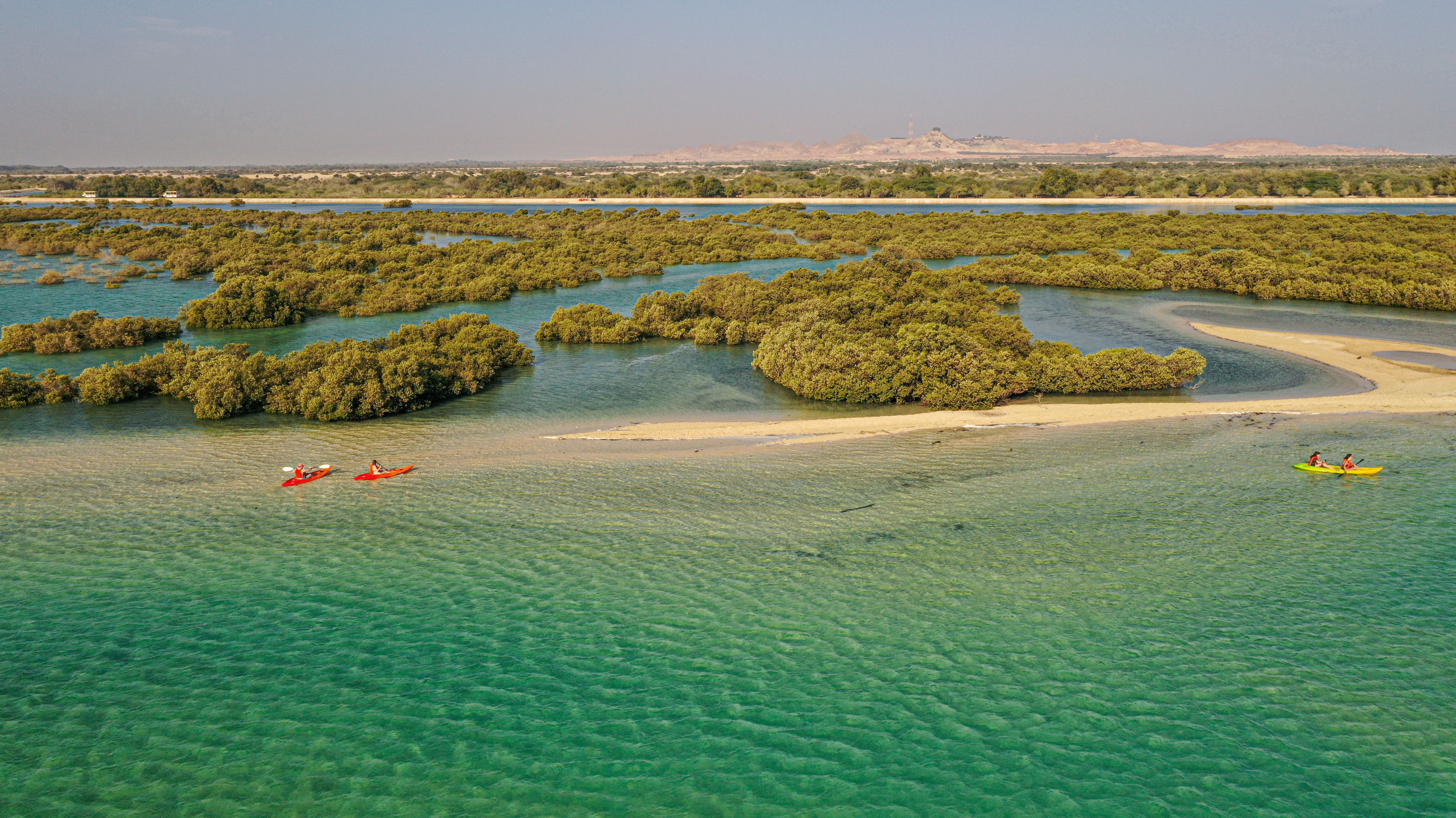 Sir Bani Yas Island One Day Tour image 3
